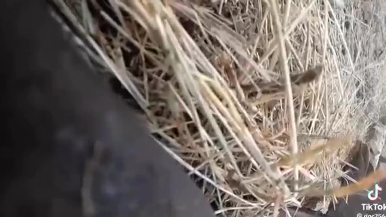 Ukrianian soldiers drive over mine
