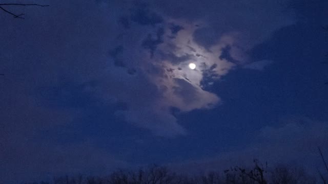 Moonwalk and twinklelight...