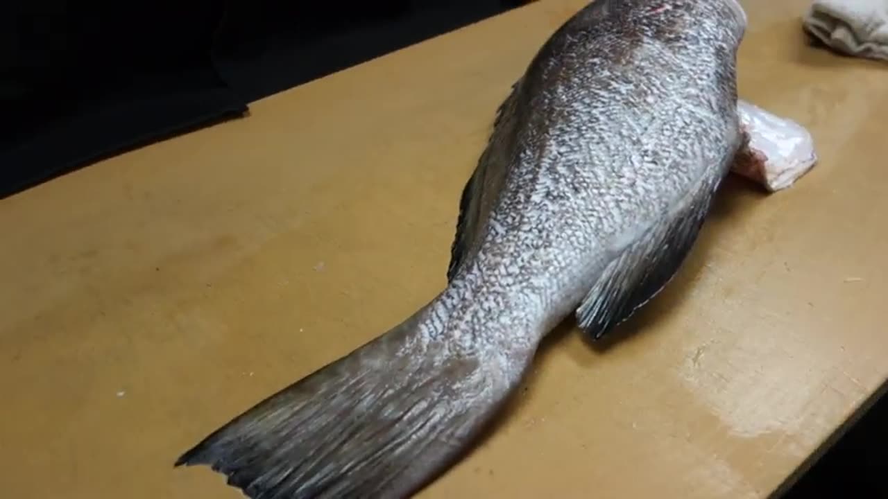 How to filet grouper