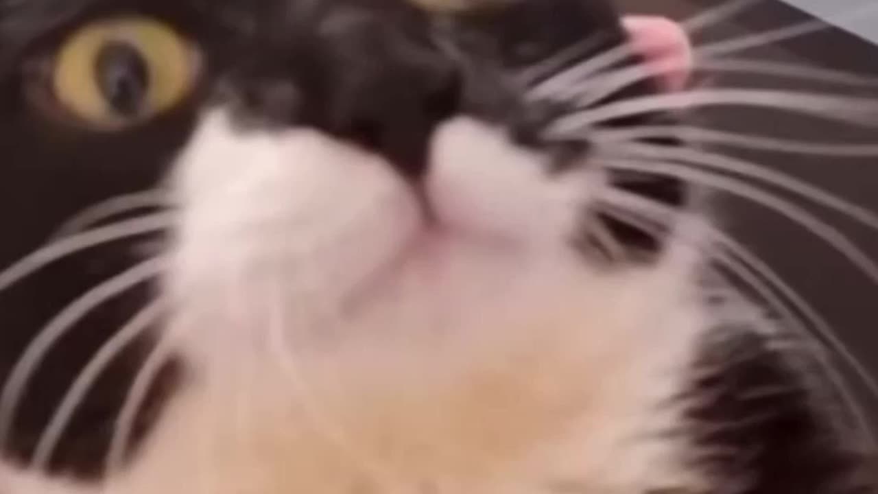 FLOOFY KEE KEE YUM