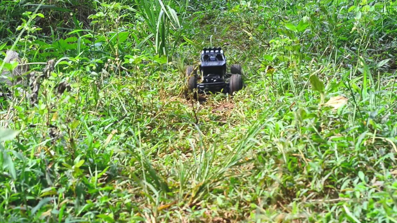 RC Indonesian River adventure