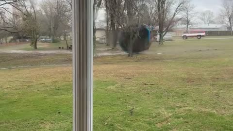 Nasty Storm Sends Trampoline Flying