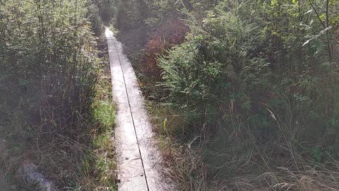 Hiking in the Alaskan Wilderness with Daniel and Deborah