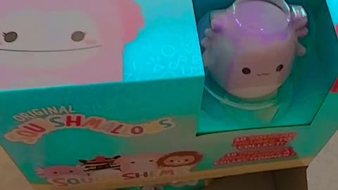 Unboxing squishmellow