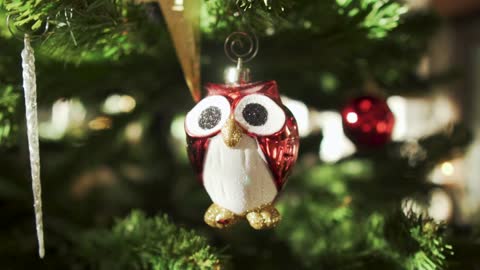 Owl ornaments on Christmas