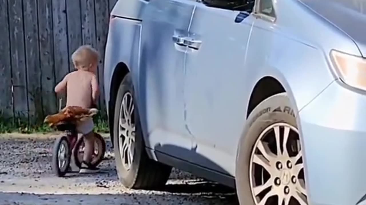 FUNNY ANIMALS #6