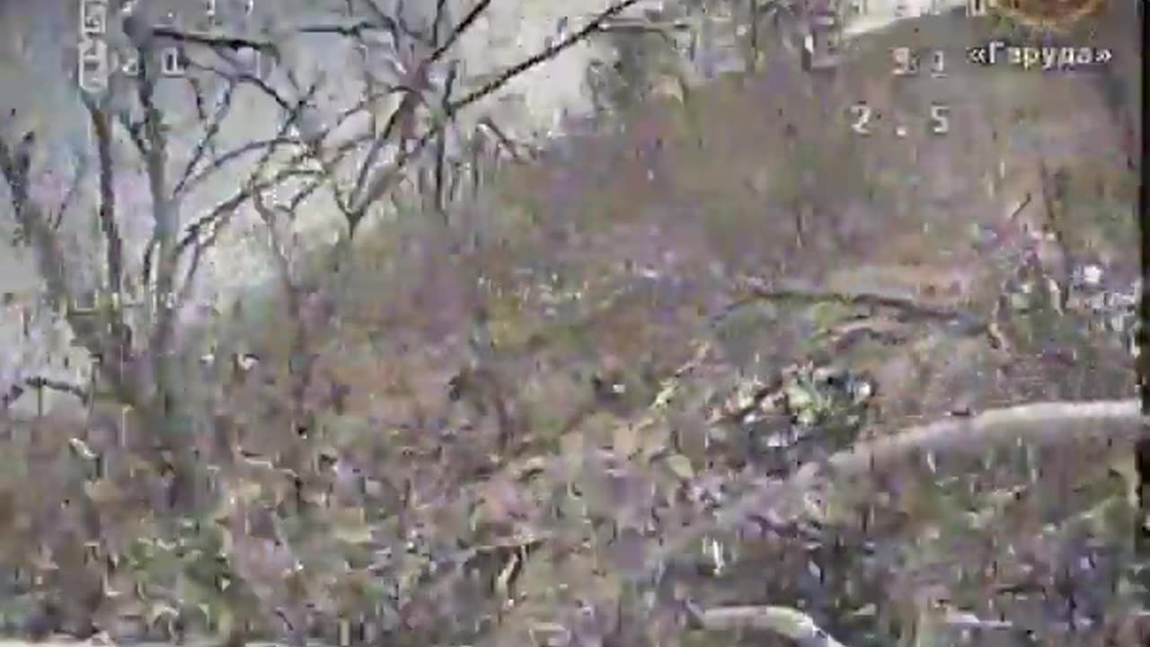 💥🇺🇦 Ukraine Russia War | FPV Drones Target Russian Infantry | 46th Airmobile Brigade | Souther | RCF