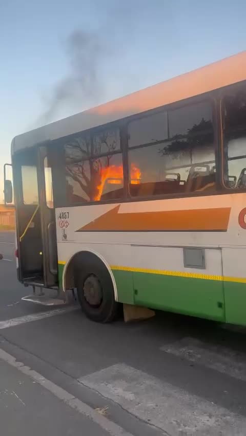 South Africa Women braver than then men