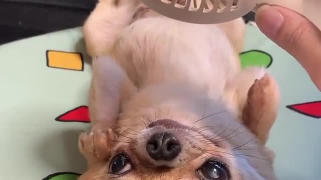 When weather too hot 😊☀️🌡️