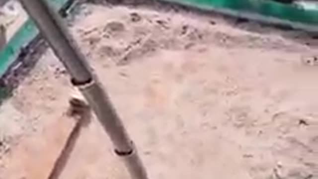 Crane lifting a backhoe onto a top of a skyscraper
