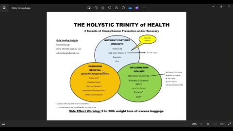 Holystic Trinity of Health brief summary