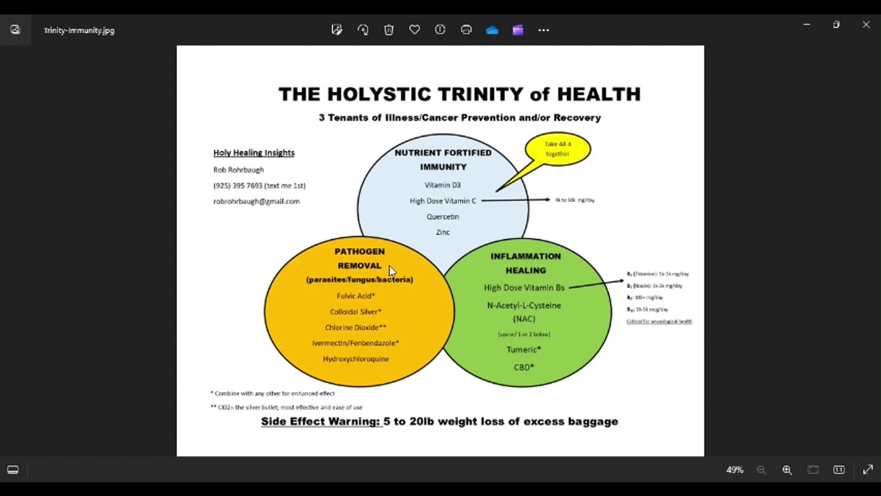 Holystic Trinity of Health brief summary