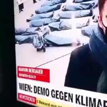 🎥 Action… 😤 Play dead would ya 🤦‍♂️