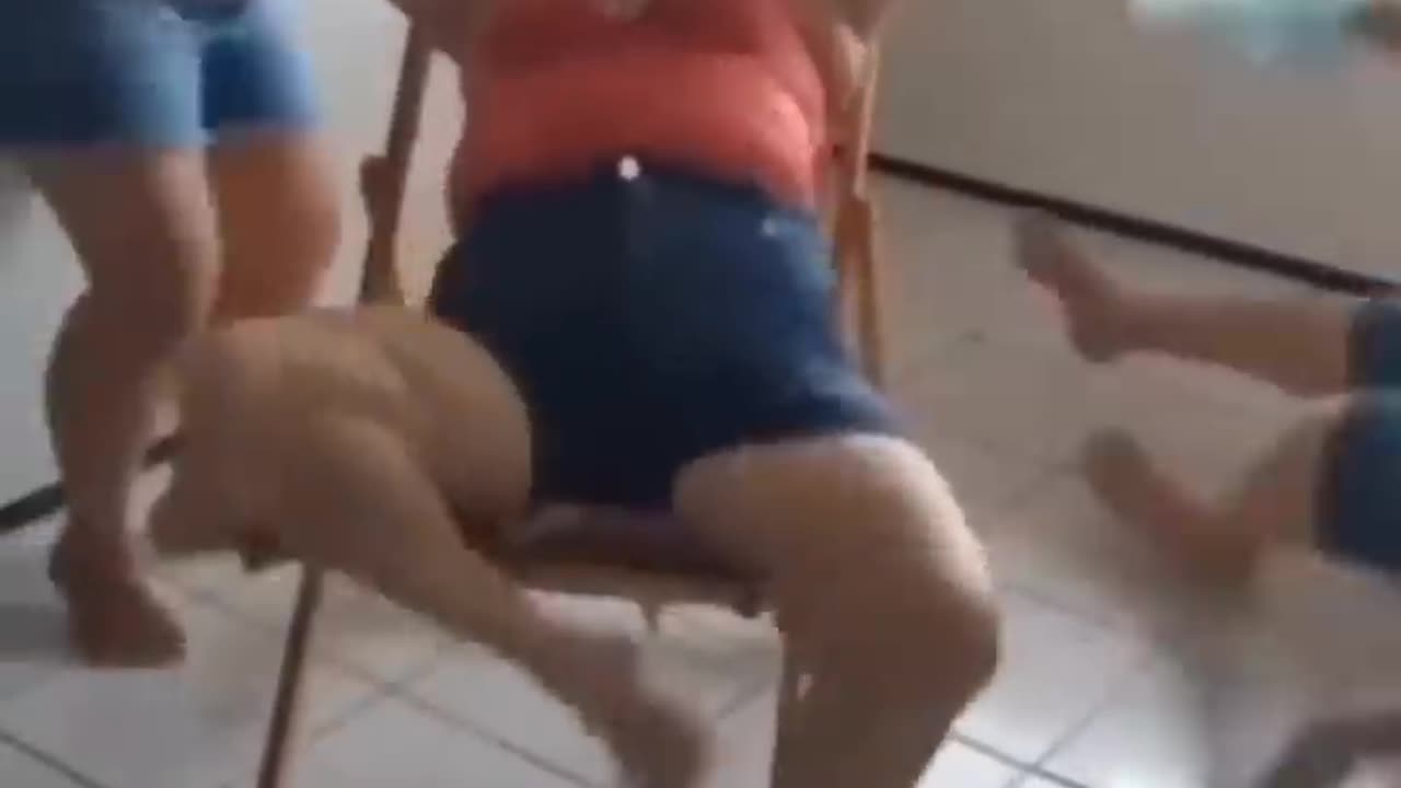 Hilarious Bloopers and Blunders Caught on Camera