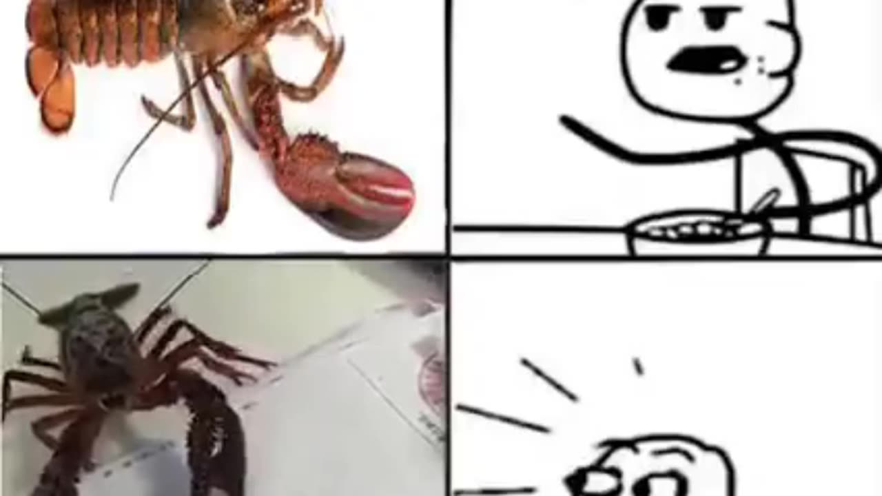 The crab is better than me