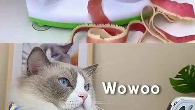 Having some friends over… It’s a feast!!