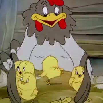 Пернатая подружка (2)