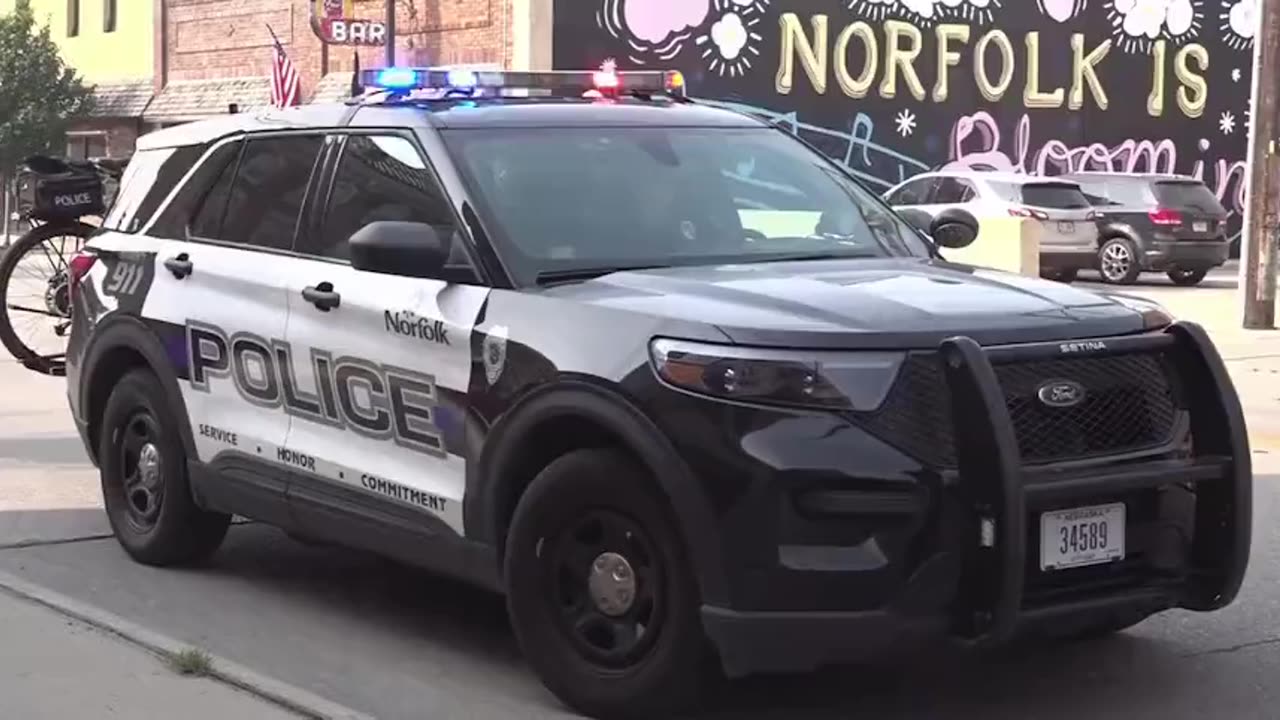 Nebraska police pulled over a man with a “Watusi bull” riding shotgun