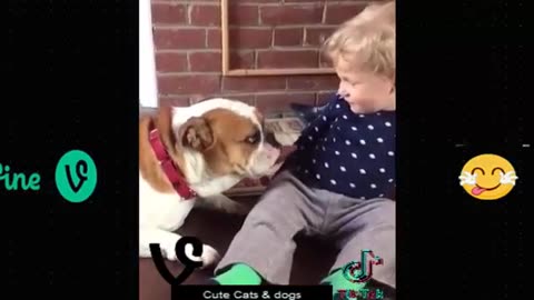 Best Funny Animal Videos Of The 2023 🤣 - Funniest Cats And Dogs Videos 😺😍😂🐶 Funny cat & dog videos 😍