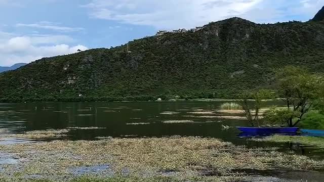 breeze blowing across the lake