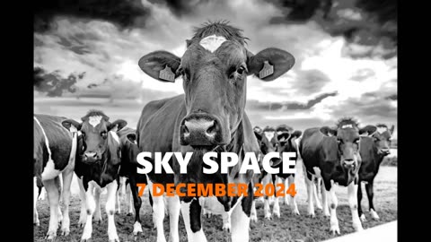 SKY SPACE - 7 DECEMBER 2024