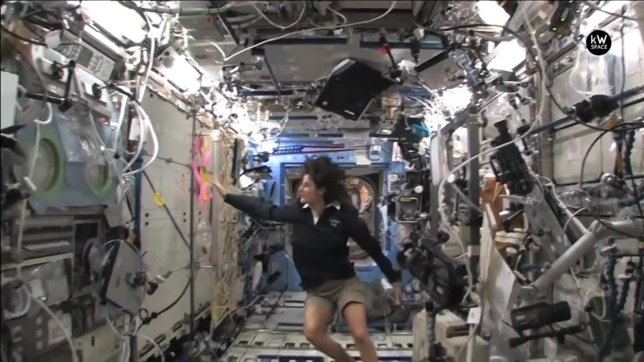 Living in the space and iss inside view