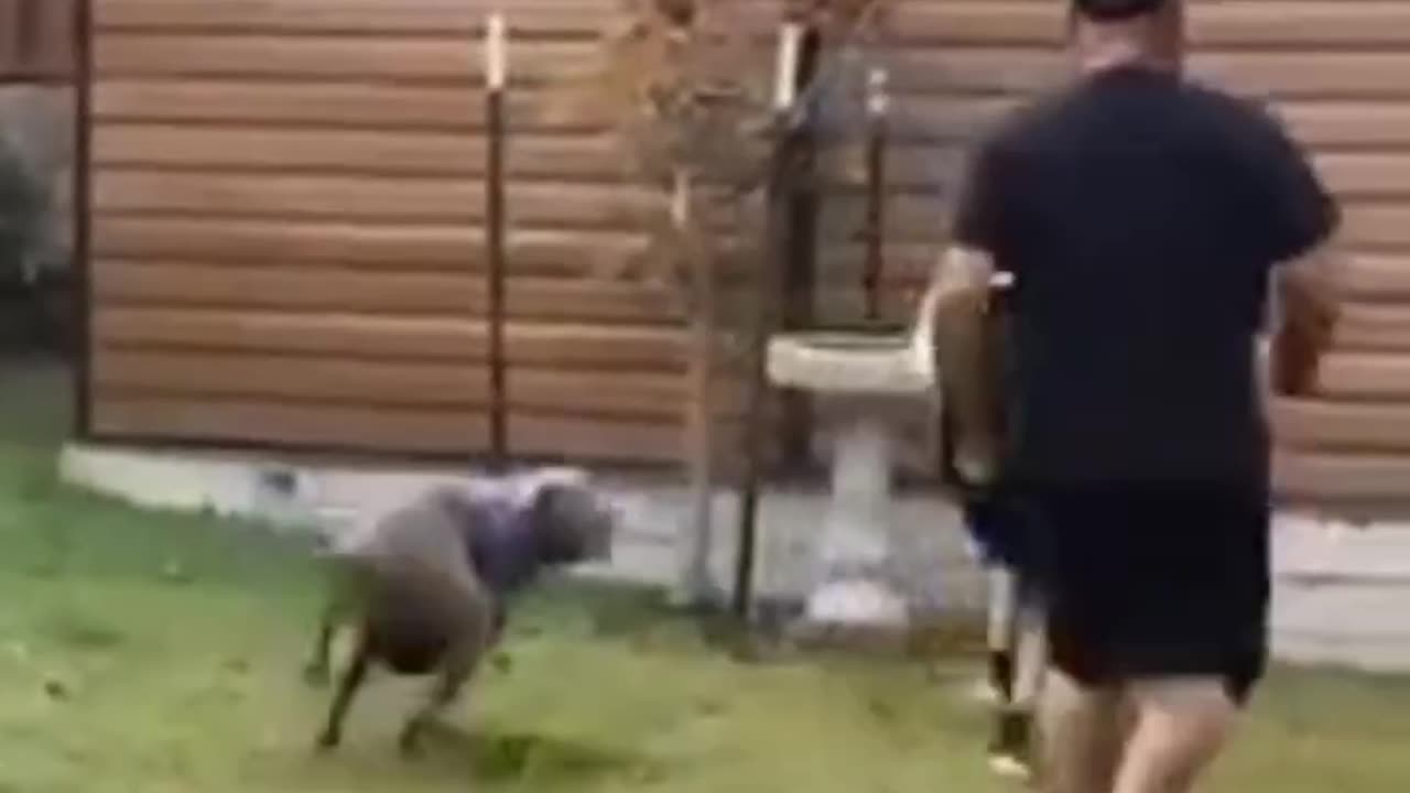 We sincerely hope you enjoy it; please follow us if you wanna laugh every day
