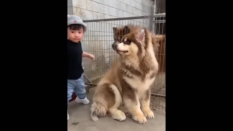 Funny Animals😂🤣💝