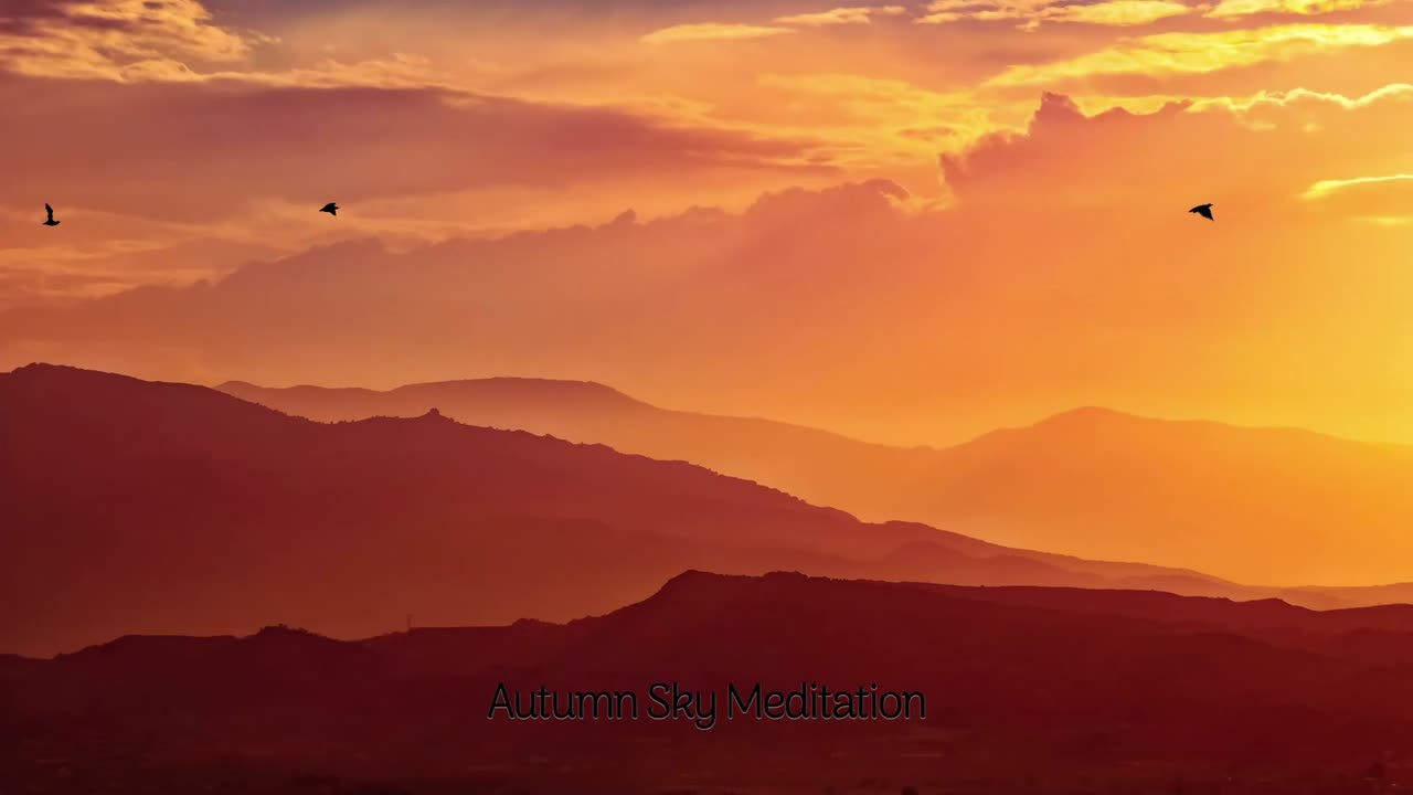 Relaxing Music for Sleep - Calming sunset with birds display. Links to the sources in description