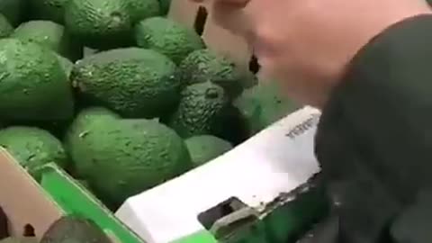 Avocado used to smuggle drugs into USA