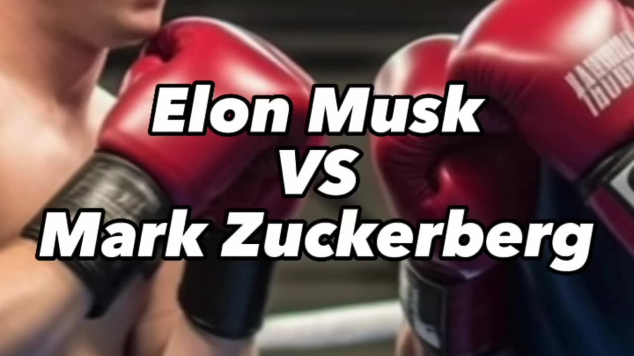 Who would win Elon Musk Vs Mark Zuckerberg