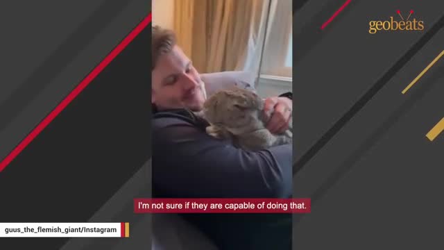 Woman accuses her bunny of acting like a dog_Cut