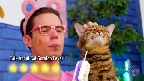 Save this tiny Cat - Secrets for Pet Owners