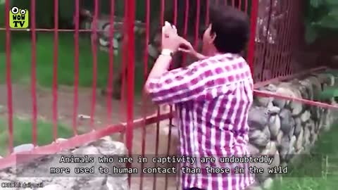 Animals Reunited With Owners After Years!