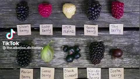 Healthy berries for you to know