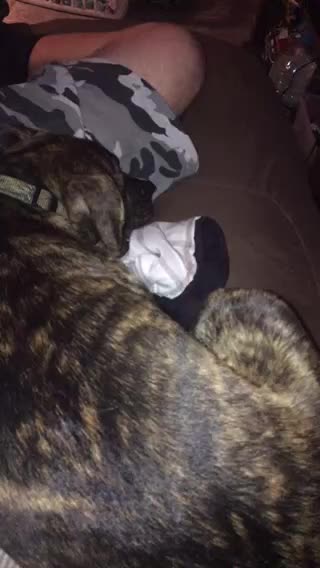 She done for knockout