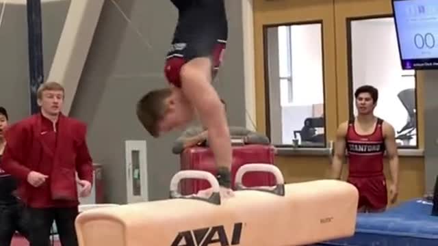 What people expect D1aGymnastics practices to look like: