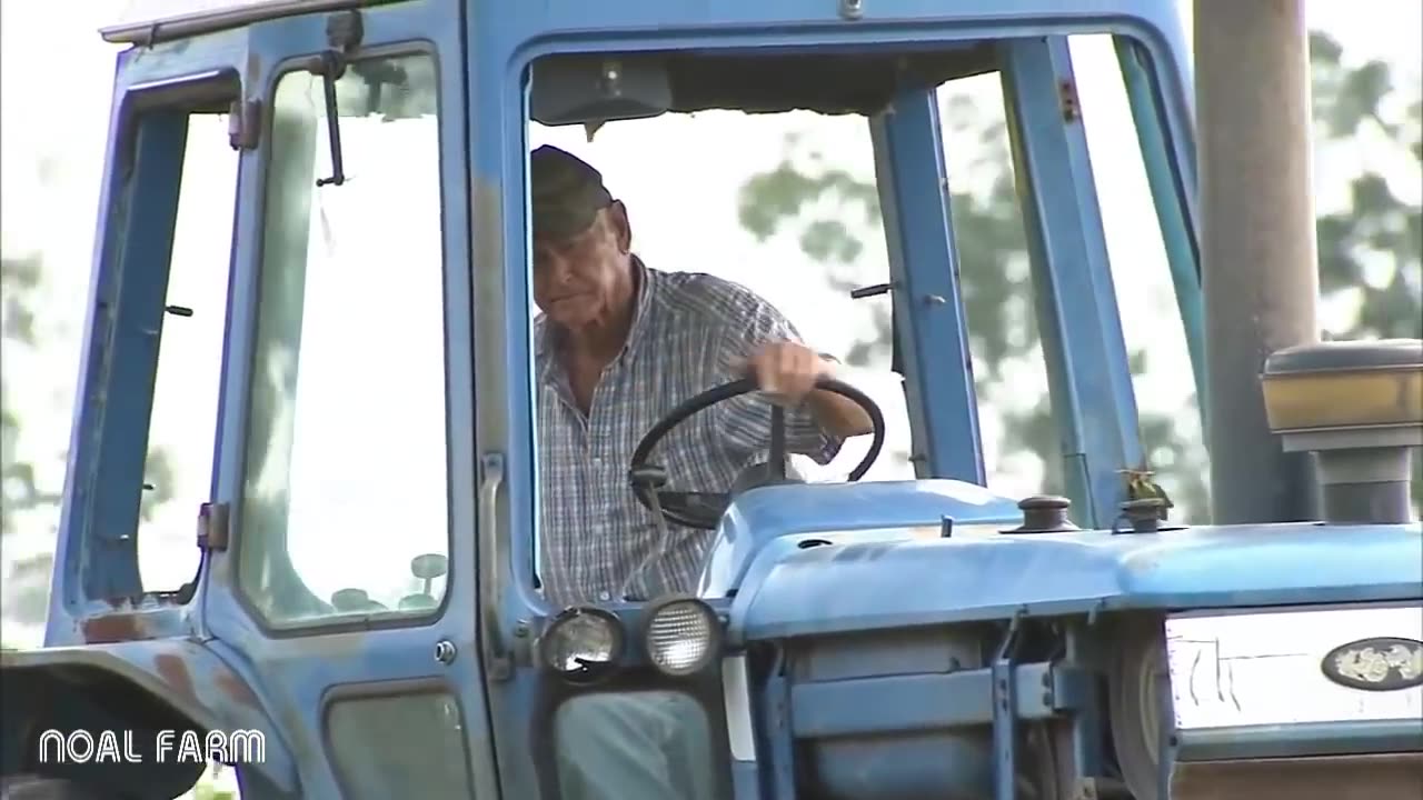 Peanut Harvesting Machine - How to Harvest Peanut in Farm - Modern Agriculture Technology