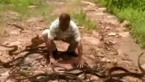 snake lord