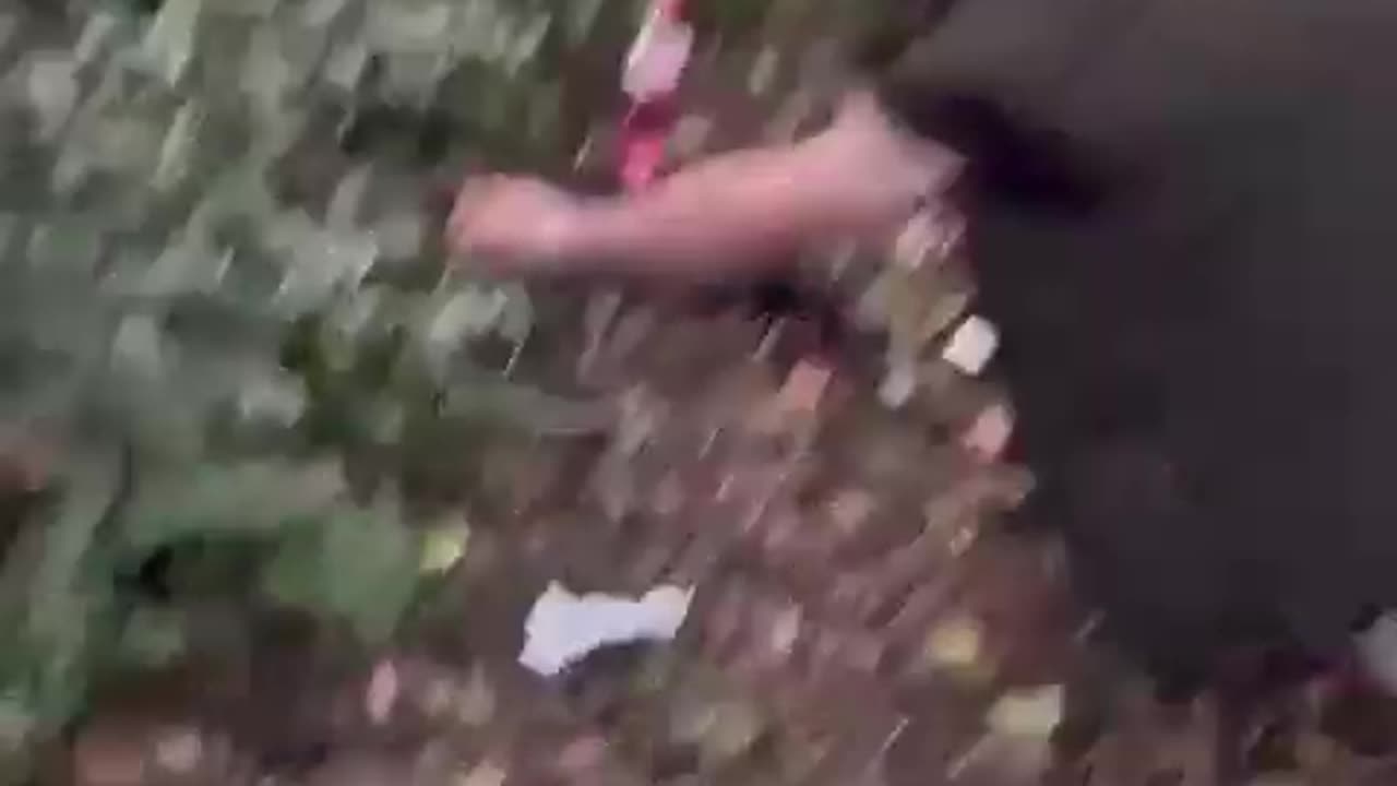 [IRELAND] Irishman Catches Immigrants Doing DRUGS in the Park