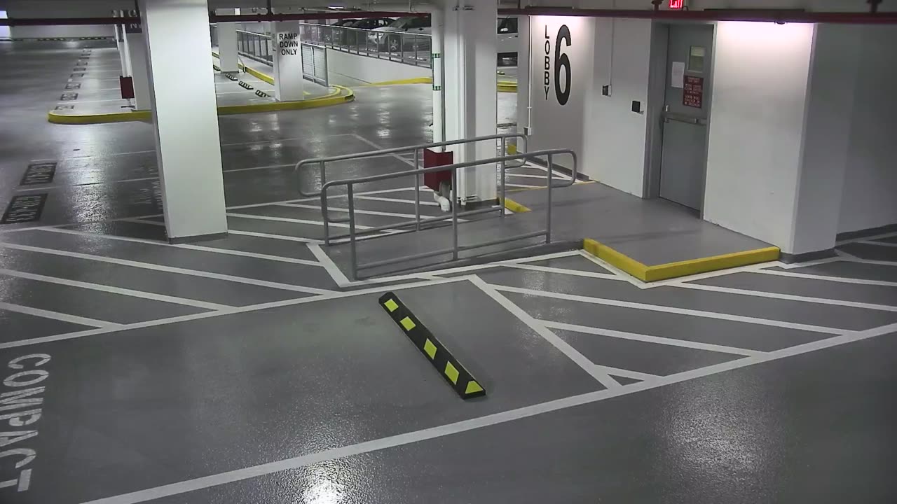 6082RHOBG3G306ANorthLobby_2021-01-06_08h40min01s770ms.mp4