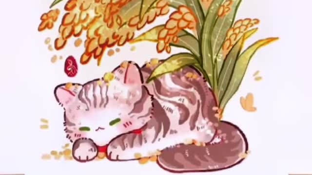 Grandpa Yuan Longping's cat Yuan Huahua