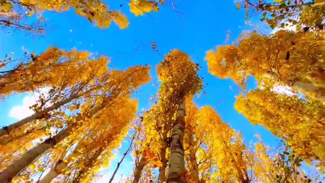 Autumn season in skarduIn Skardu.