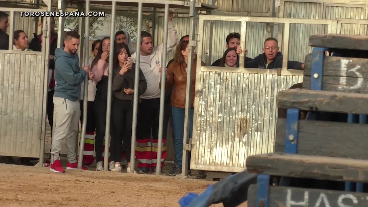 CONCURSO DE TOROS ◾ MONCADA ◾ (Benavent _ Alba Atenea _ F.Machancoses_ G.Vidal _ Parejo _ H. Cali)