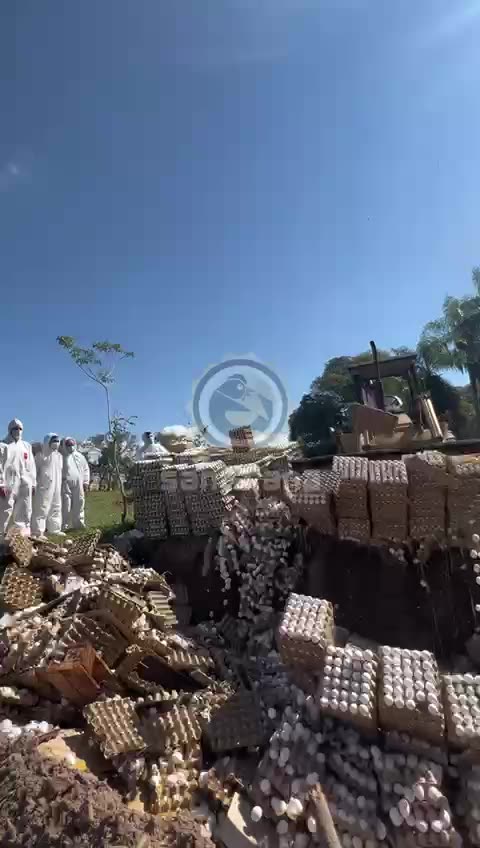 Destruccion de comida en Argentina por orden del Gobierno. SENASA. 19-COV