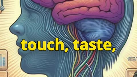 Understanding Sensory Memory