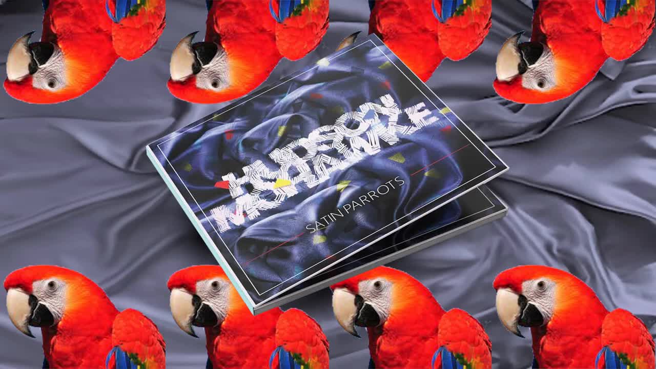 Hudson Mohawke - Cbat parrot versionp1