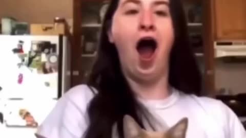 Smart cat