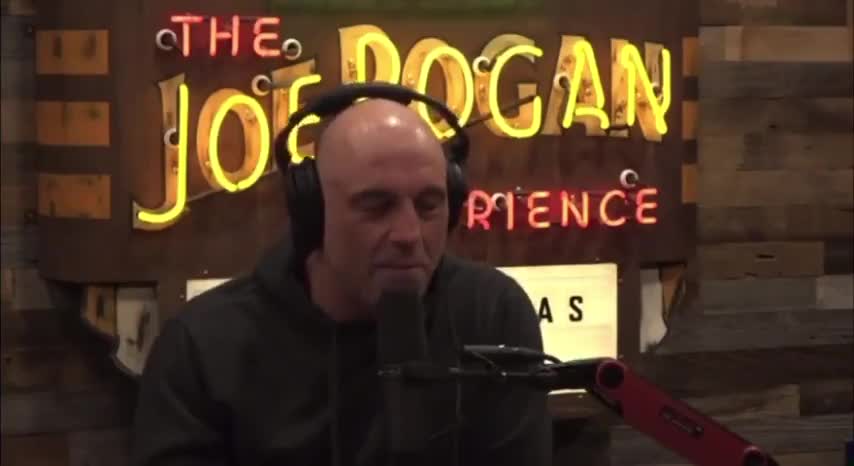 Joe Rogan Criticizes School That Pushed “Anti-Racism” On His 9-Year-Old Daughter