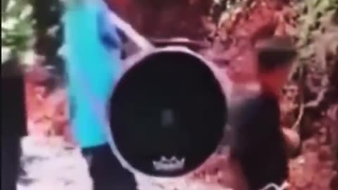 Funny videos